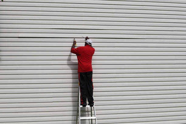 Affordable Siding Repair and Maintenance Services in Bayfield, CO